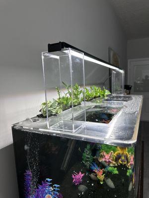 Complete Love the top of these tanks.  There is access for everything I need. I especially love being able to add live houseplants