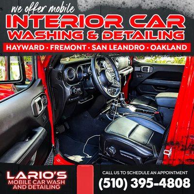 Lario's Mobile Car Wash & Detailing