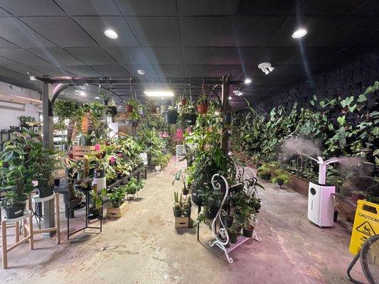 Looks! So many beautiful plants! Come too see our jungle.