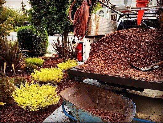 Let us dress up your yard with new bark.