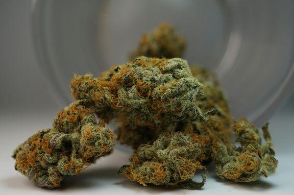 Hybrid strains in Los Angeles, California