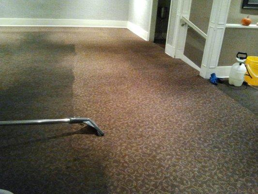 Matienzo Carpet Cleaning