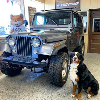 Walter the shop dog standing guard.