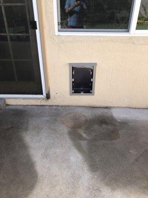 Installed pet door