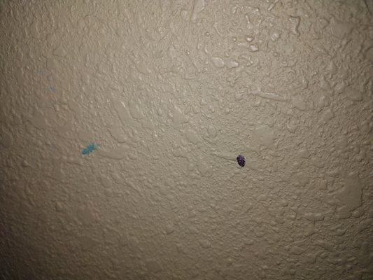 SOMETHING ON THE WALL AROUND THE TUB...IT WIPED OFF MOSTLY STILL COULD SEE A LITTLE BIT OF BLUE