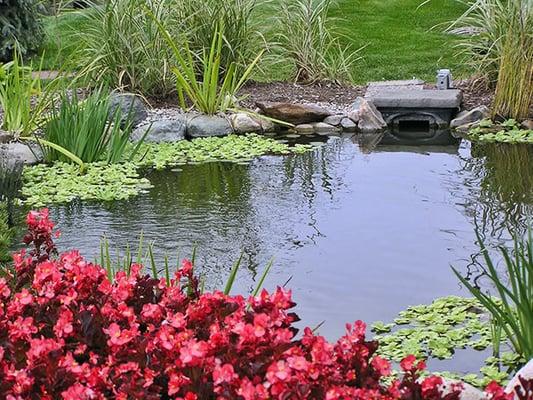 Ponds and waterfalls - DeClark's Landscaping