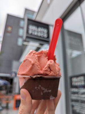 Strawberry balsamic and dark chocolate noir sorbettos.