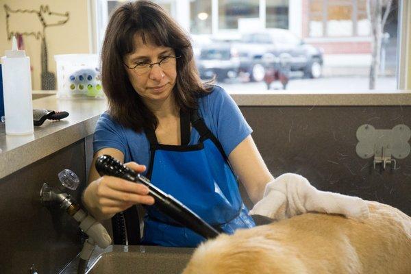 We have blow dryers!