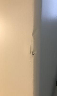 Wall damage caused by 7 brothers moving