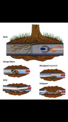 Do you have root instrussion in your building sewer? These are a few examples how your sewer pipe might look.