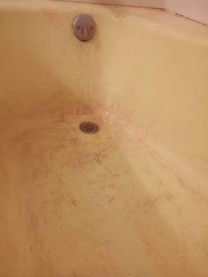 My tub before they cleaned.