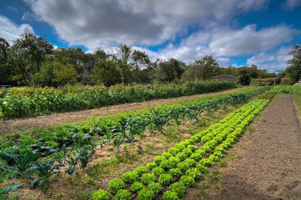 47 acres of historic farmland, established in 1697