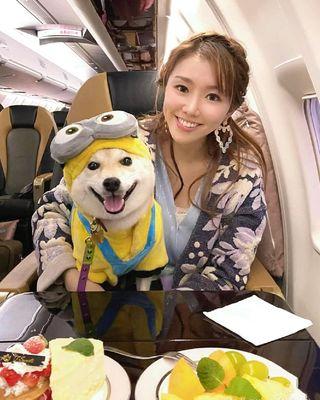 Luxury travel made easy Private jet charters, empty leg flights, and pet-friendly jets Where pets fly private, no cargo https://airacer.com/