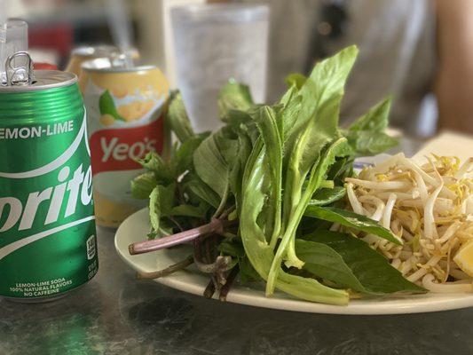 Sprite and soy bean drinks. Basil, Culantro, bean sprouts & lemon for the pho soups