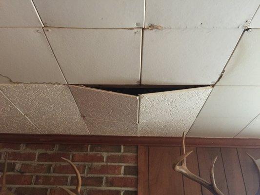 Living room ceiling