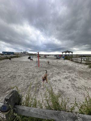 Wildwood Dog Park & Beach