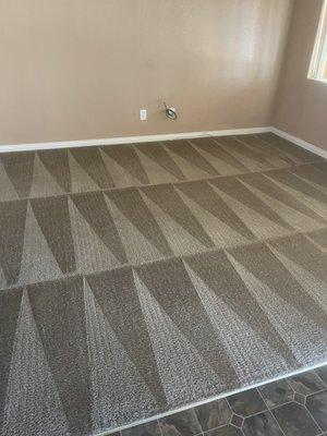 Carpet Cleaning results