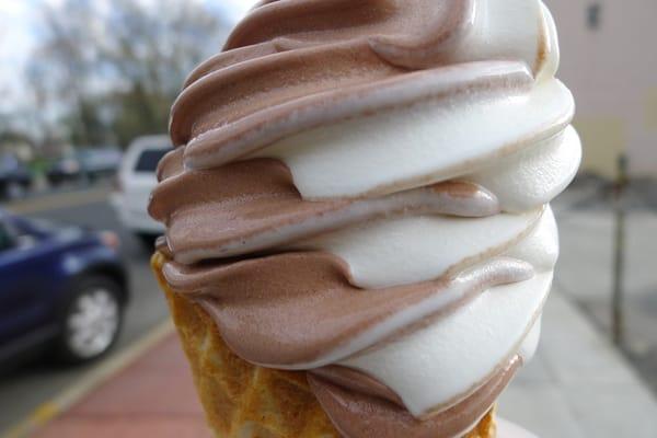 Vanilla and Chocolate swirl. So good you won't believe it is fat free and sugar free.