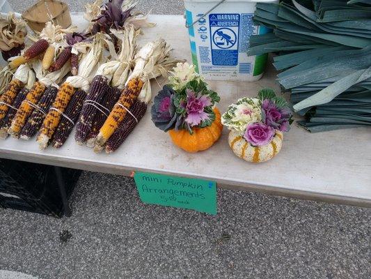 Decorations for your Thanksgiving feast!