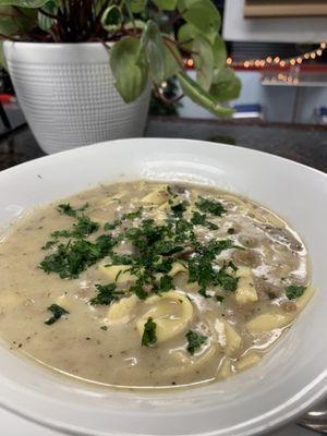 Locally sourced grass fed beef stroganoff soup