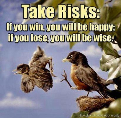 Is it "risk" when birds are meant to fly?