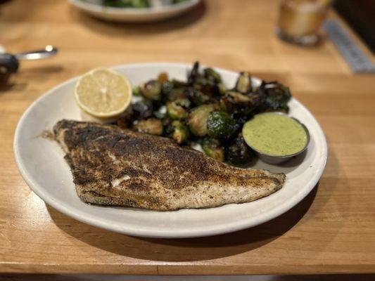 Mediterranean Sea Bass