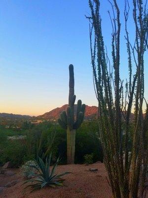 Arizona sun set