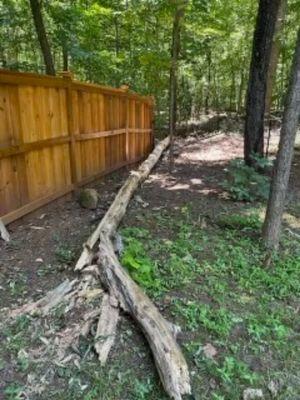 Inside of Cedar Privacy Fence