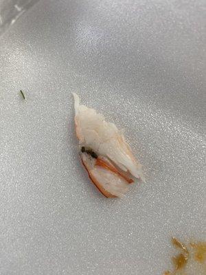 Shrimp full of shrimp poop