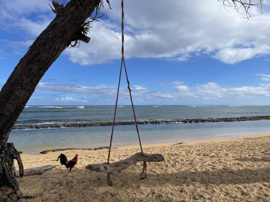 Baby beach