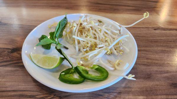 Weak tiny portion of veggies for my pho...