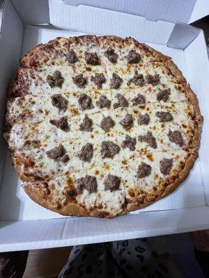 Large Sausage pizza