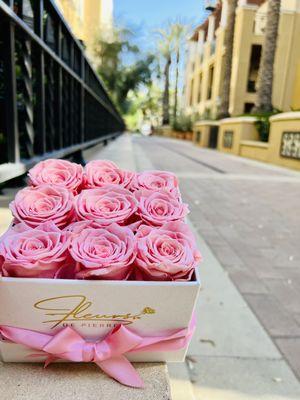 Premium 9 Blush Pink Roses