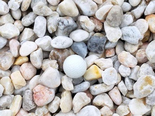 We have the areas largest selection of gravels. caseysoutdoor.com/garden-center/bulk-gravel-aggregate