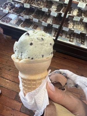 One scoop mint chocolate chip