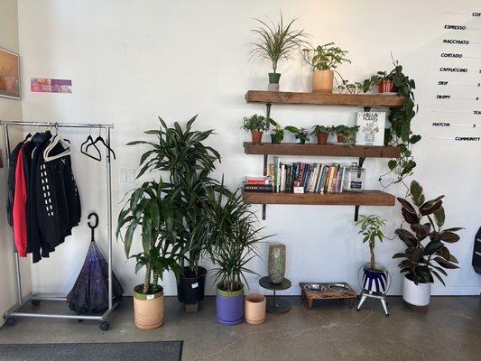 Welcome entrance, coat hanger, plant study books