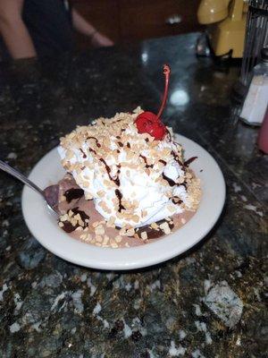 Hot Fudge Sundae With Whipped Cream and cherry, of course!