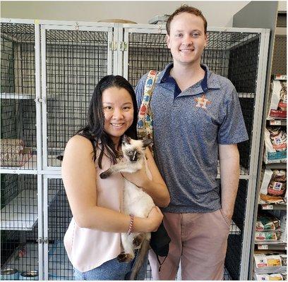 Cat Adoptions