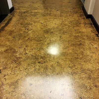 Polished Concrete