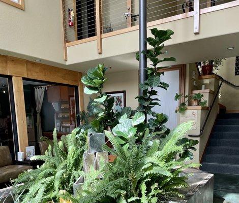 Beautiful indoor atrium