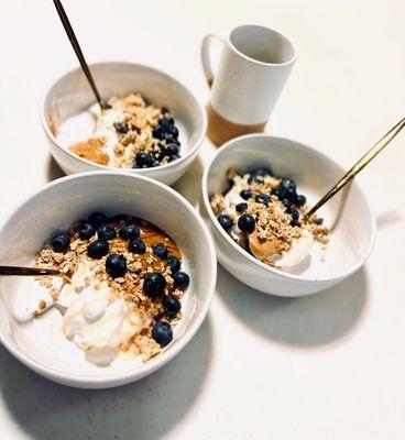 Vegan yogurt add toppings organic blueberries, honey, creamy peanut butter