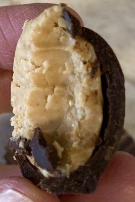 The inside of a Buckeye - peanut butter and dark chocolate