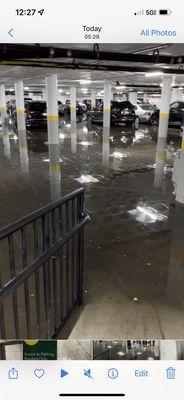 Garage flooding