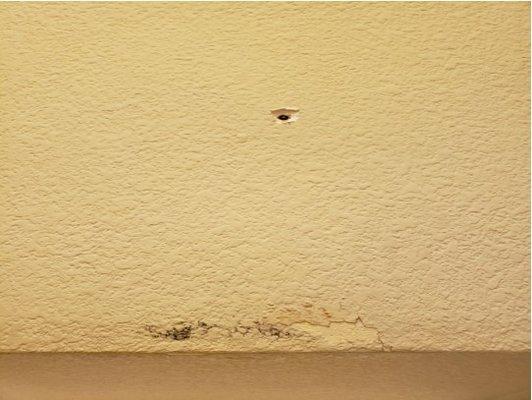 Drywall damage from leak.