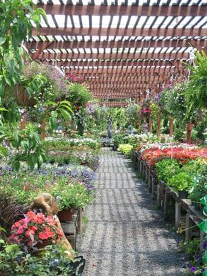 Garden Center