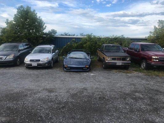 A few of the vehicles who went from ill to healthy! Some came by for engine repairs, others stopped in for oil changes!