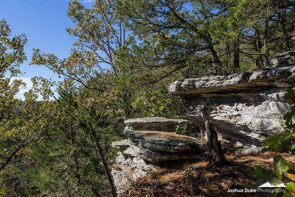 8 miles of trails lead to overlooks, bluff shelters, creeks, and waterfalls.