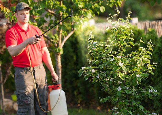 Tree & Shrub Care