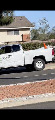 Nieves Landscape