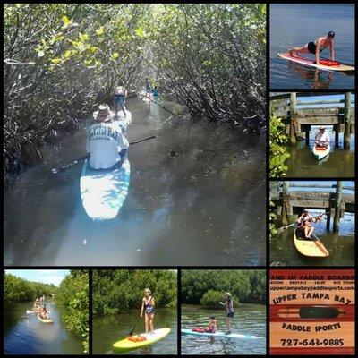 Coopers Bayou tour